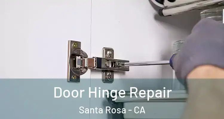  Door Hinge Repair Santa Rosa - CA