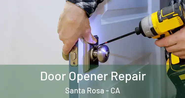 Door Opener Repair Santa Rosa - CA