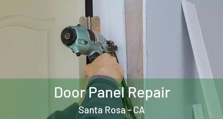  Door Panel Repair Santa Rosa - CA