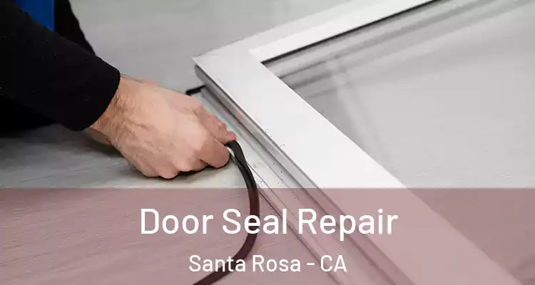  Door Seal Repair Santa Rosa - CA