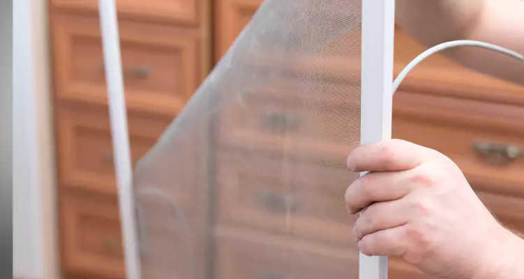 Privacy Mesh Screen Door Installation in Santa Rosa, CA