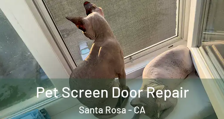  Pet Screen Door Repair Santa Rosa - CA